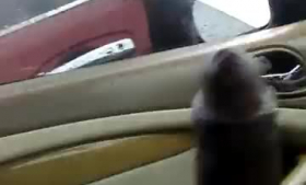Big Black Dick Fucks Young Skinny Red Bone Shaking Her Ass Out arghhh
